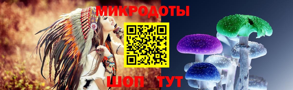 Галлюциногенные грибы Psilocybe Калач-на-Дону