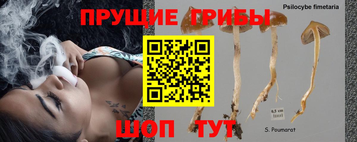 Галлюциногенные грибы ЛСД  Галлюциногенные грибы мухоморы  Вход с VPN  Калач-на-Дону 